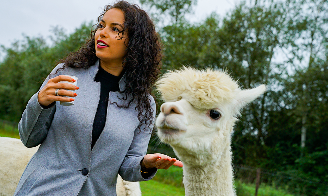 Alpacafarm In de Puthof