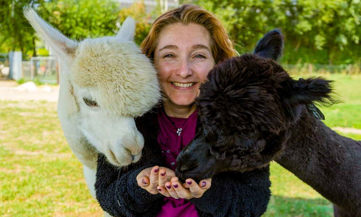 Alpacafarm In de Puthof