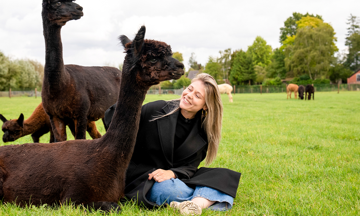 Alpacafarm In de Puthof