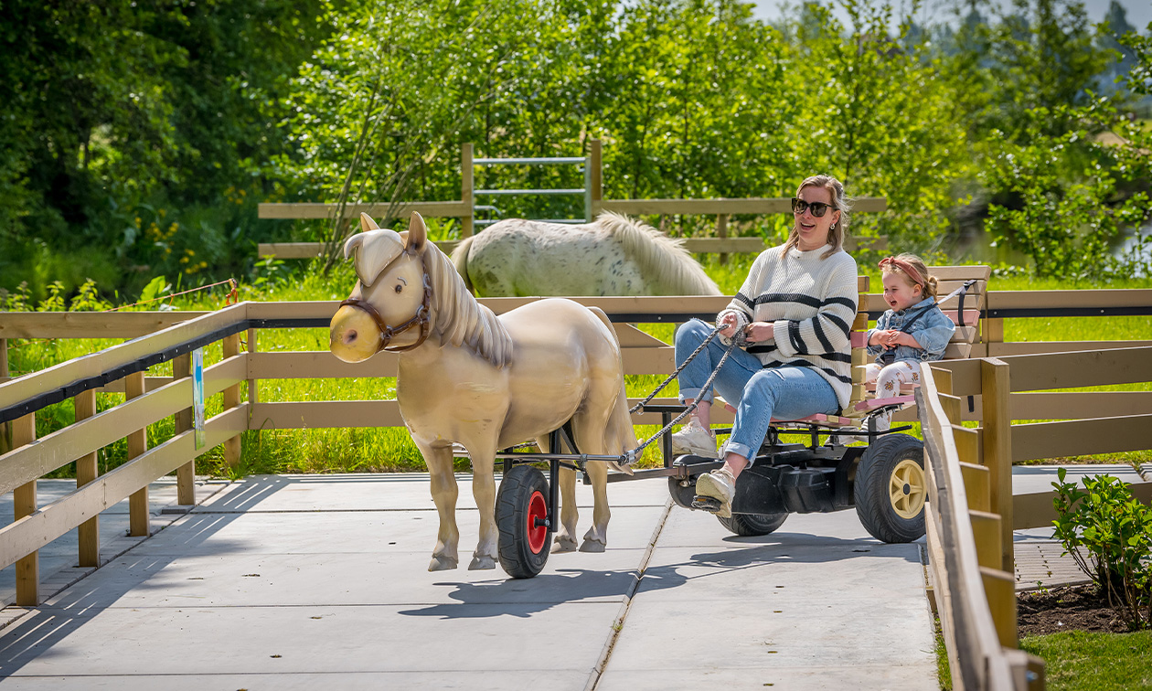 Avonturenboerderij Molenwaard
