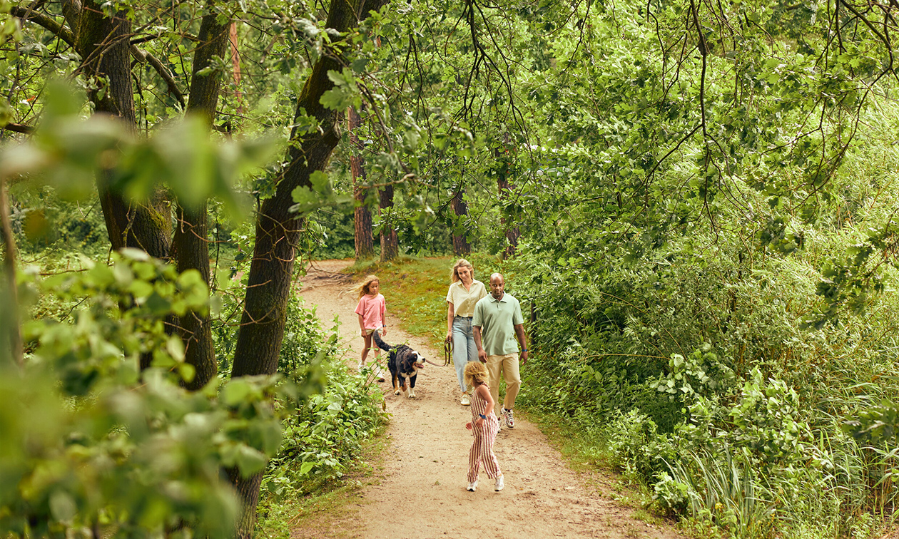 Center Parcs De Kempervennen