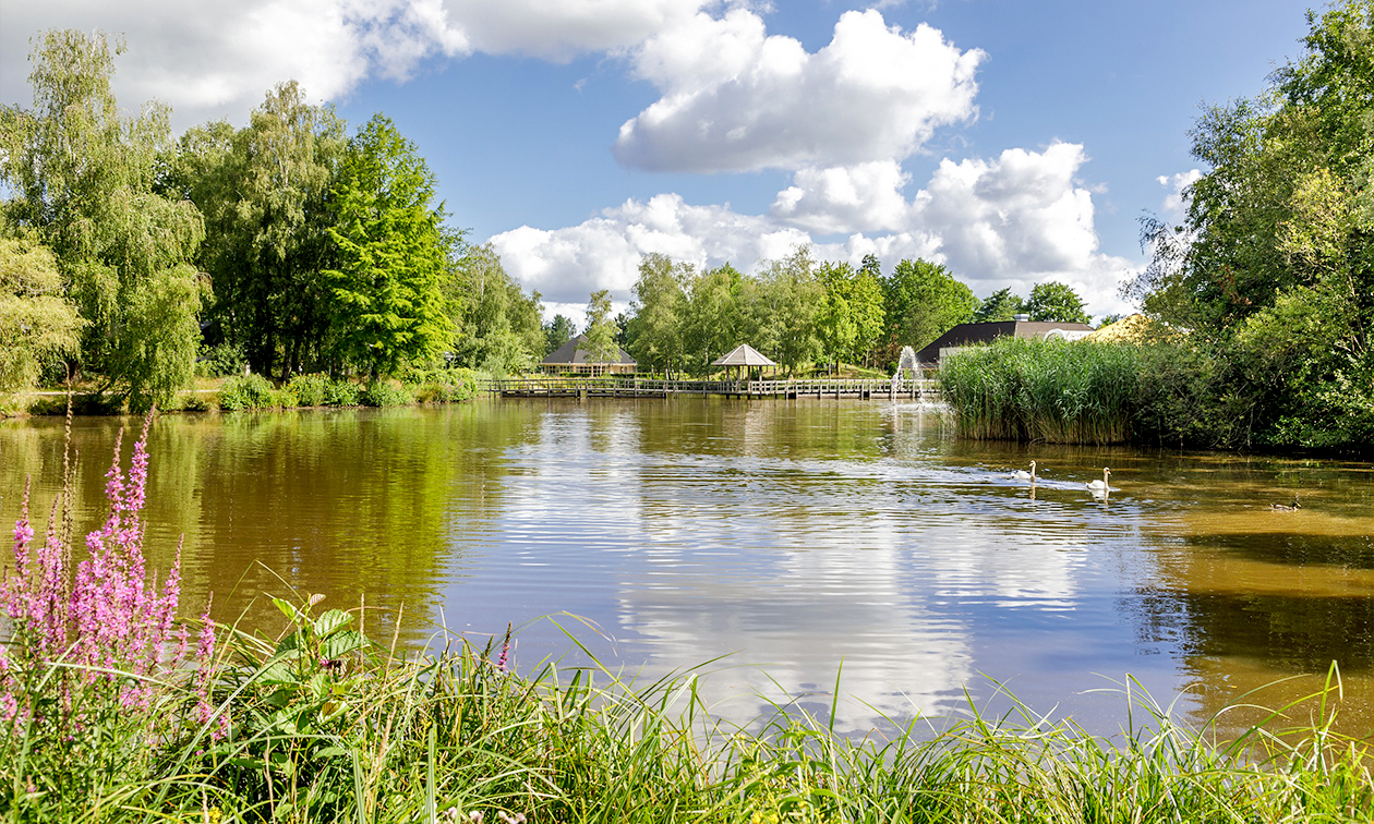 Center Parcs Limburgse Peel
