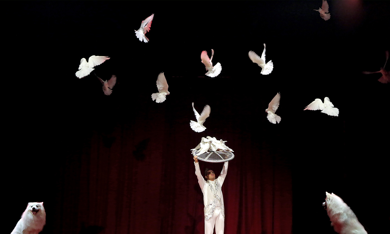Circus Chapito