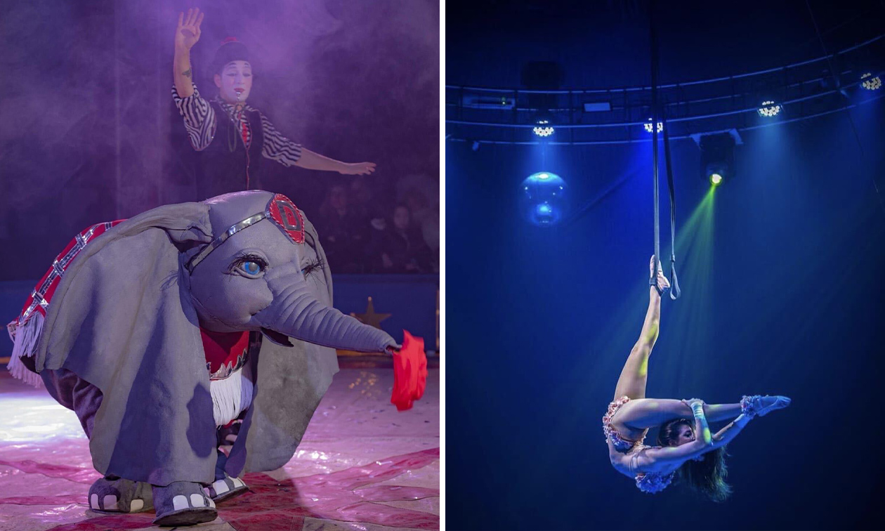 Circus Renz International