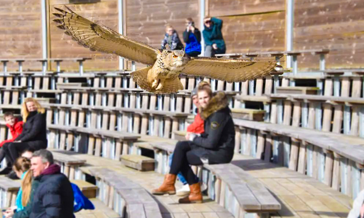 Dierenpark Hoenderdaell