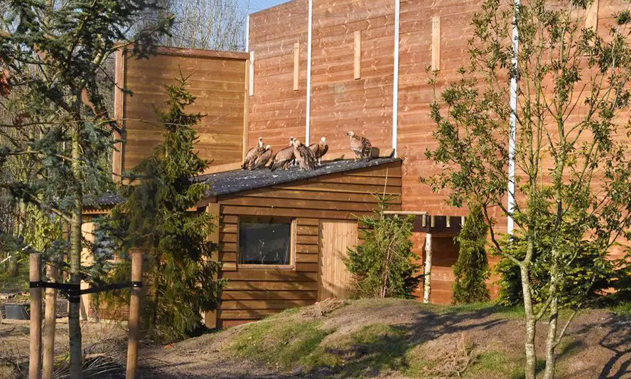 Dierenpark Hoenderdaell