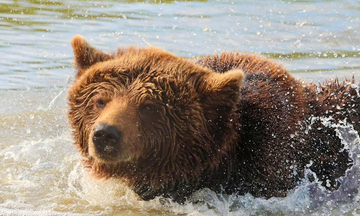 Dierenpark Hoenderdaell