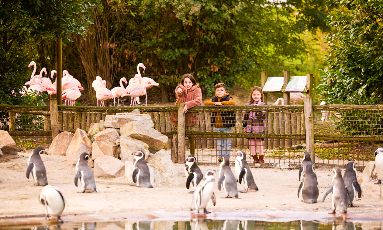 Eindhoven Zoo