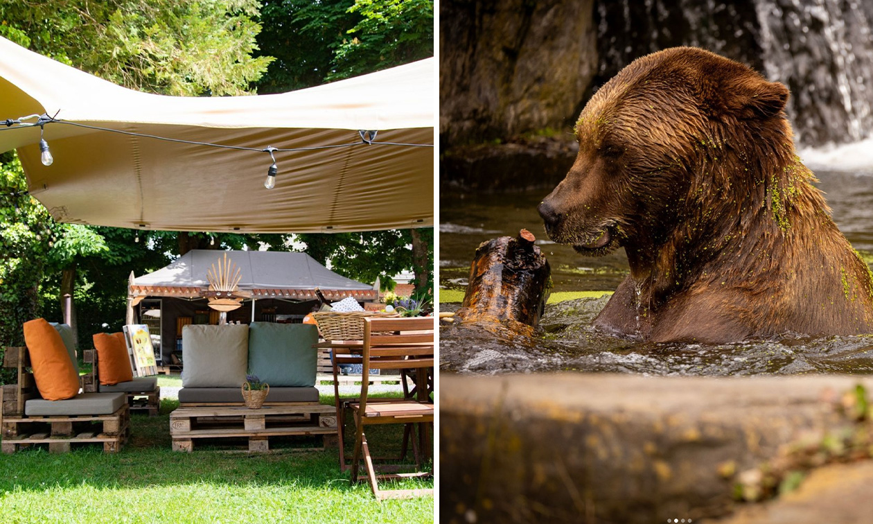 Glamping Cocoon Village