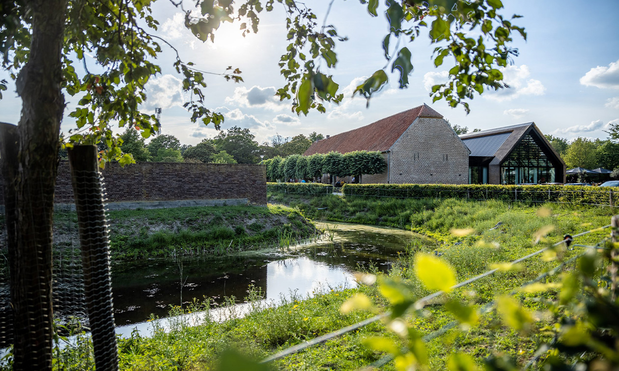 Graaf ter Horst