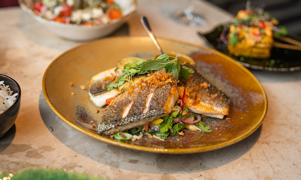 Grace Rotterdam