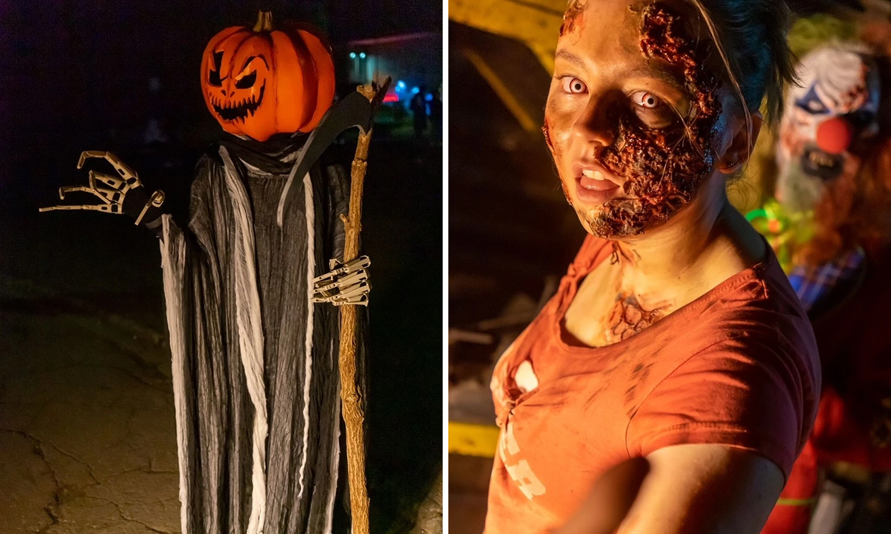 Halloween Horror House