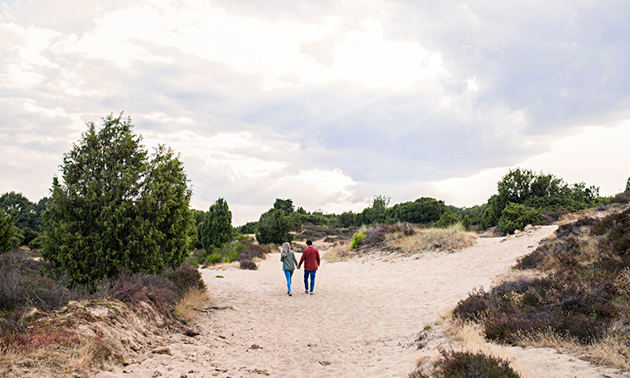 Hotel De Bonte Wever Assen