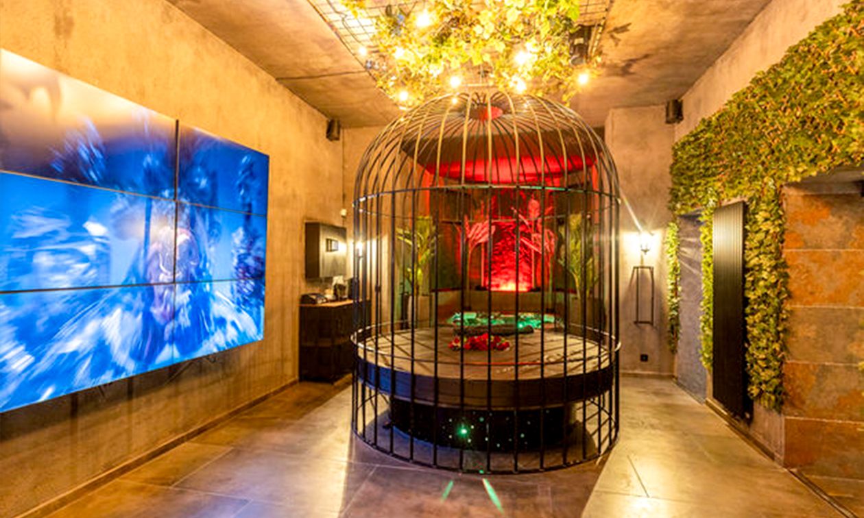 Intense Sense Experience