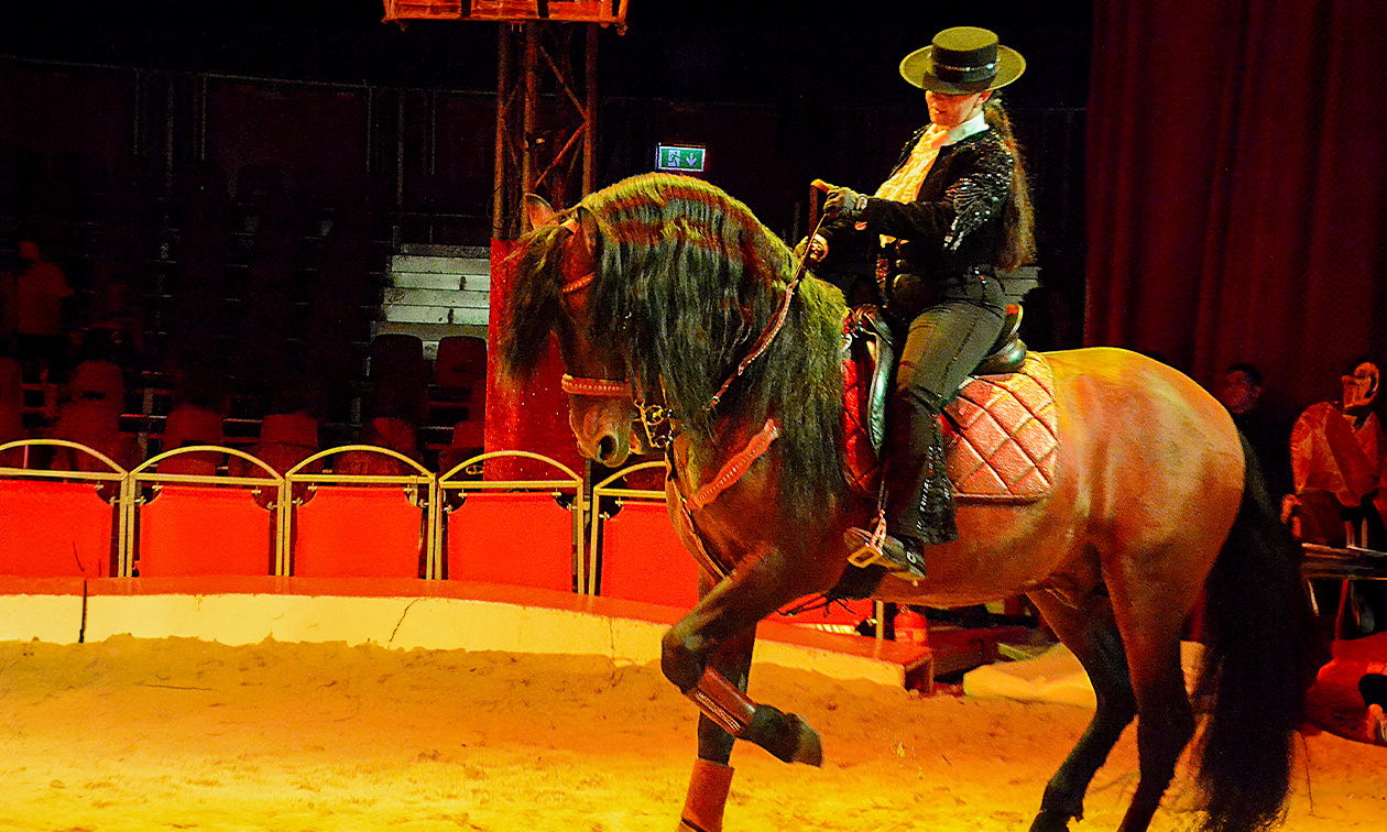 Kerstcircus Nijmegen