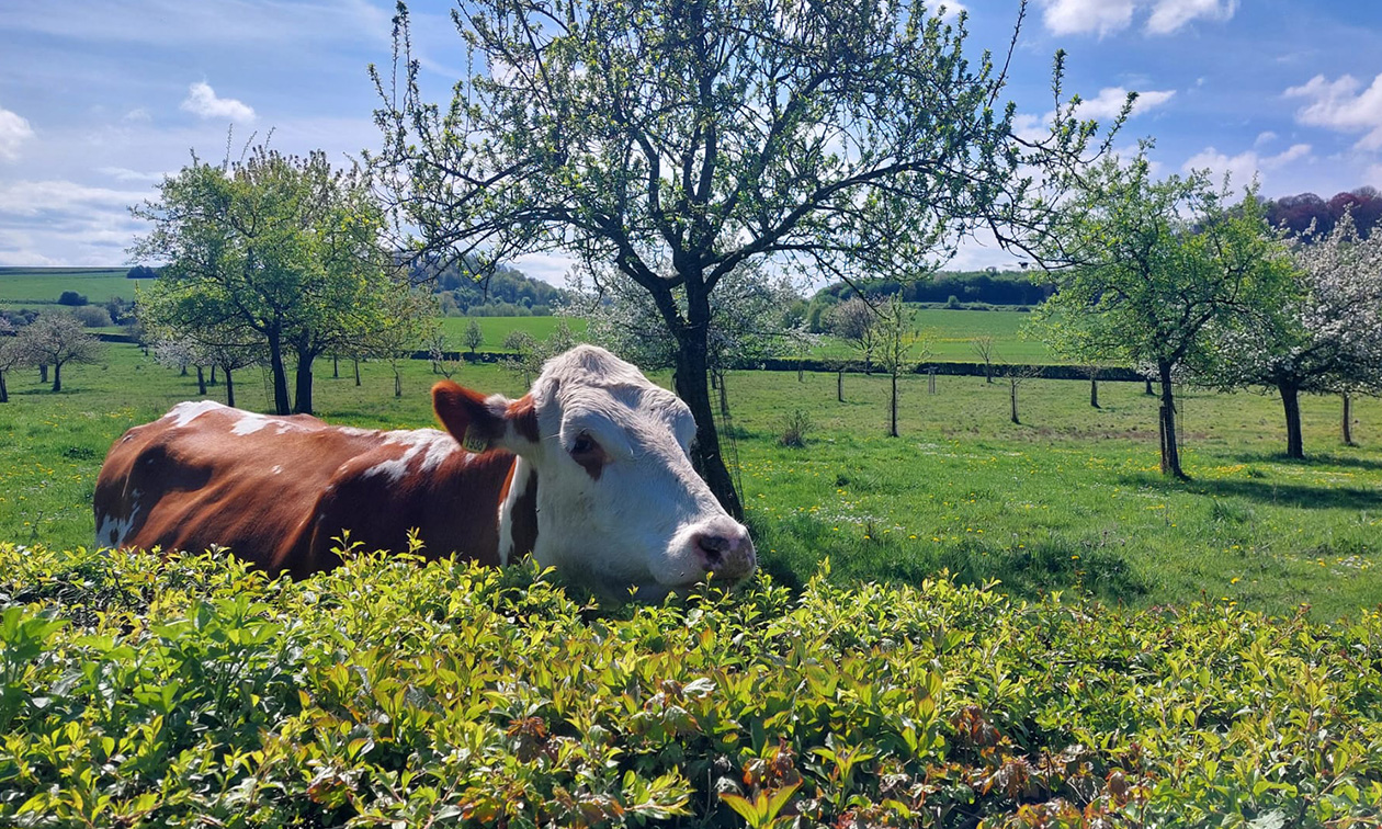 Koffiebar Het Gerendal