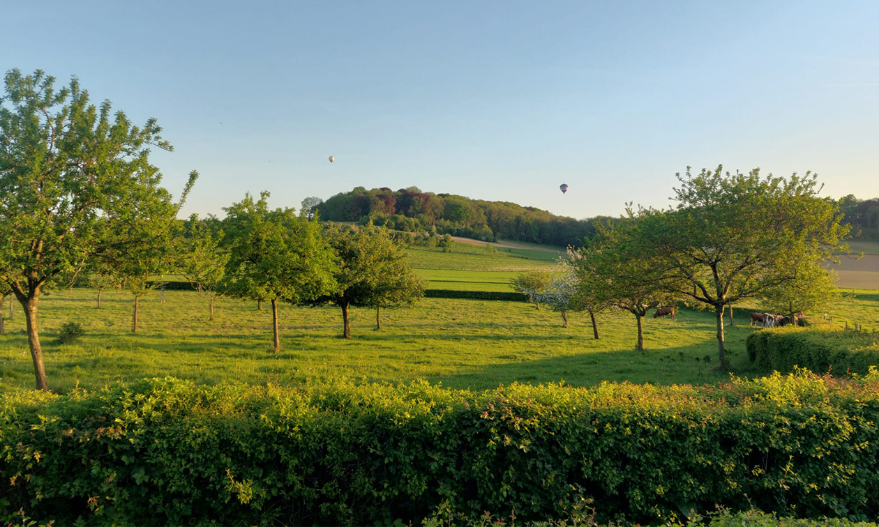Koffiebar Het Gerendal