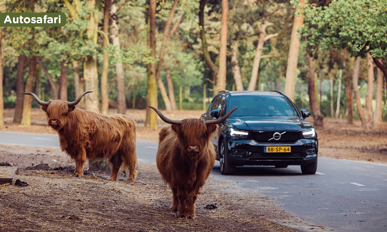 Lake Resort Beekse Bergen