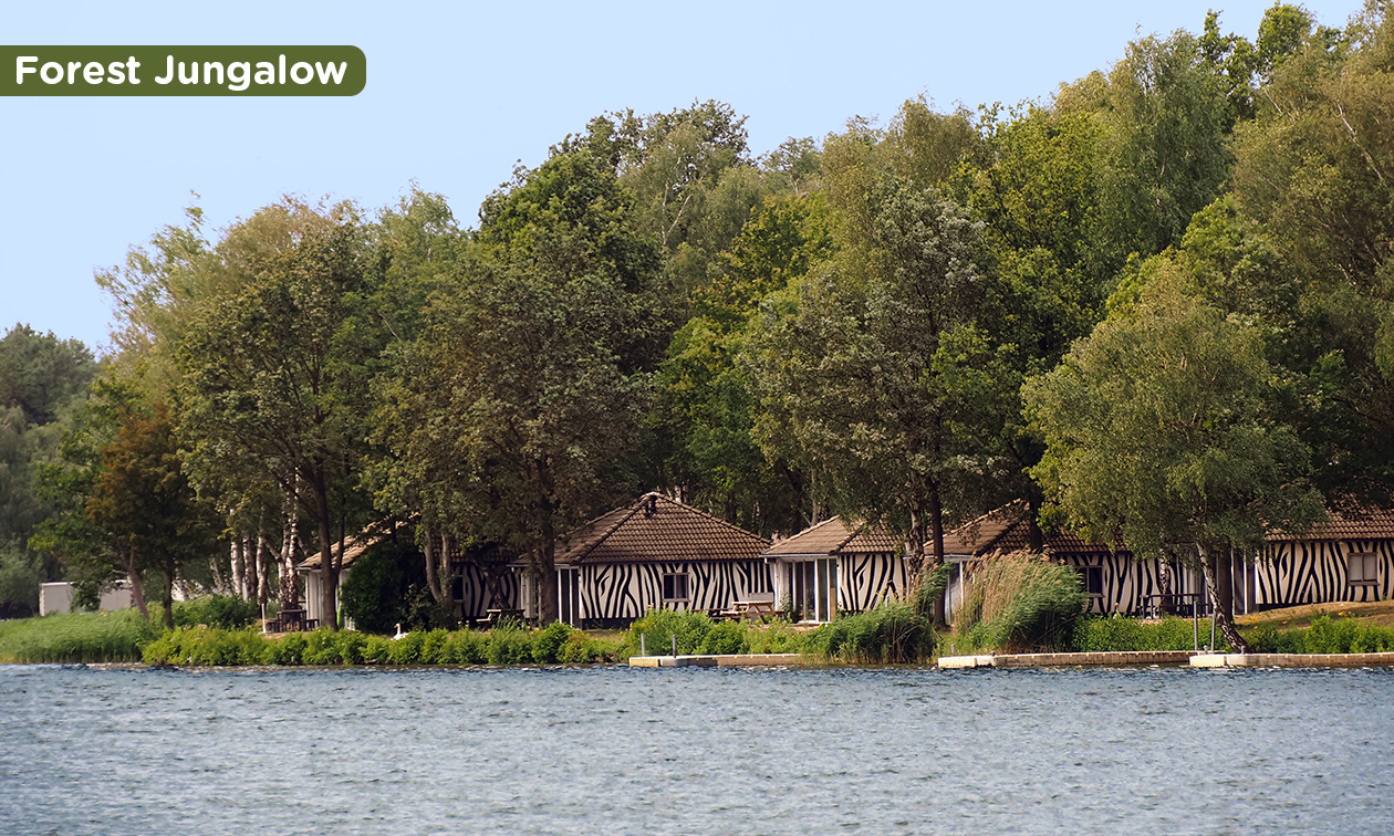 Lake Resort Beekse Bergen