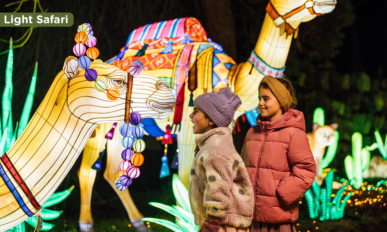 Lake Resort Beekse Bergen