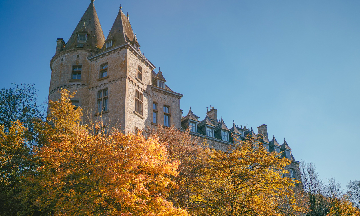 Le Sanglier des Ardennes