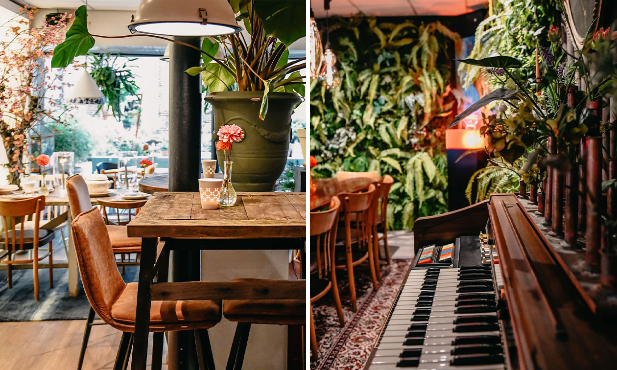 MoTTo