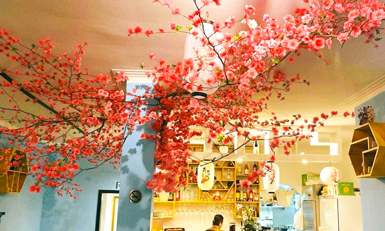 O Mami Sushi und Asian Kitchen