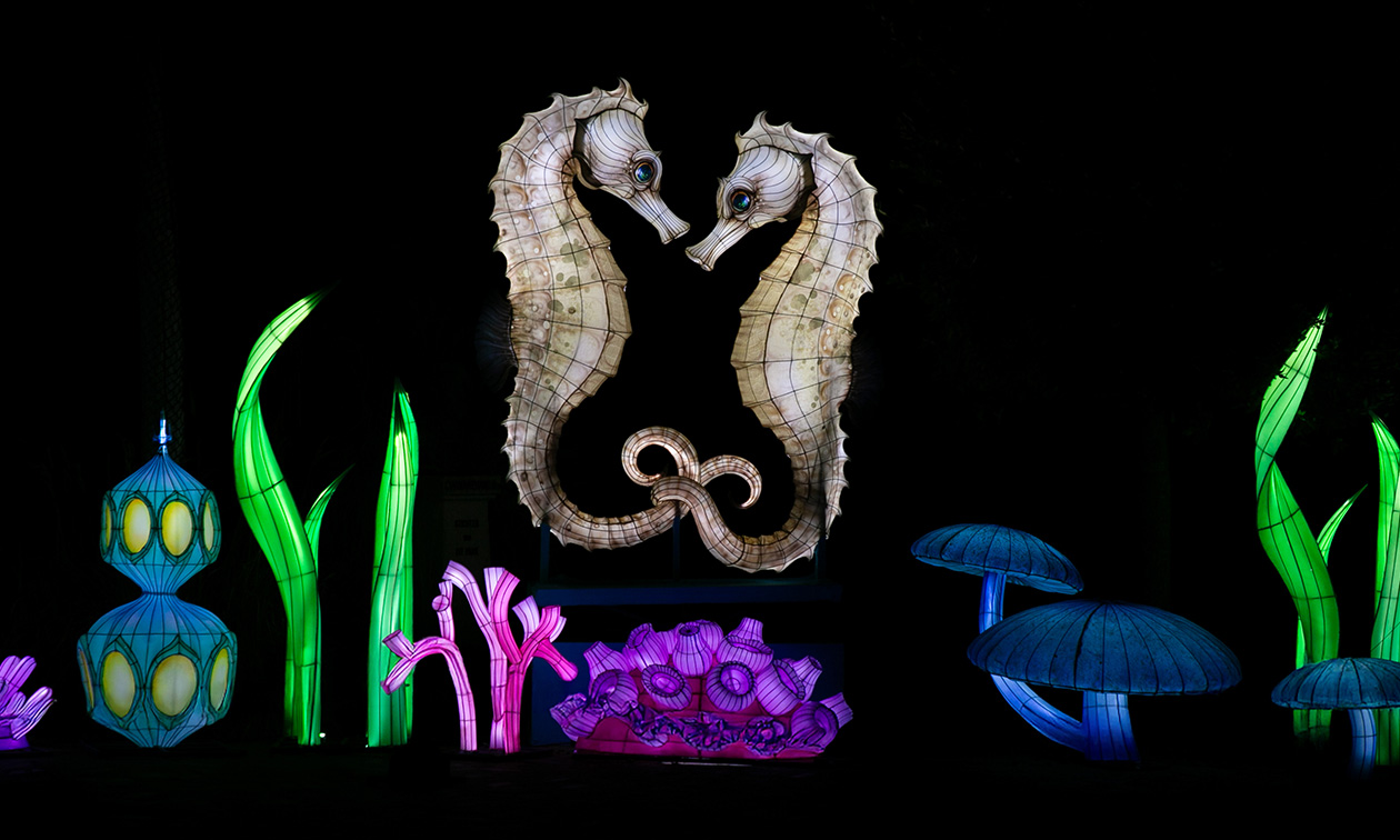 Ouwehands Dierenpark Rhenen