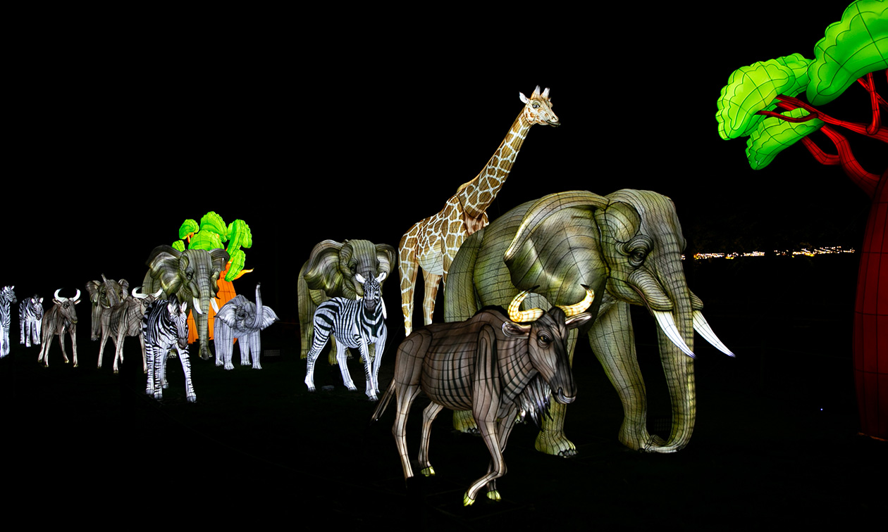 Ouwehands Dierenpark Rhenen