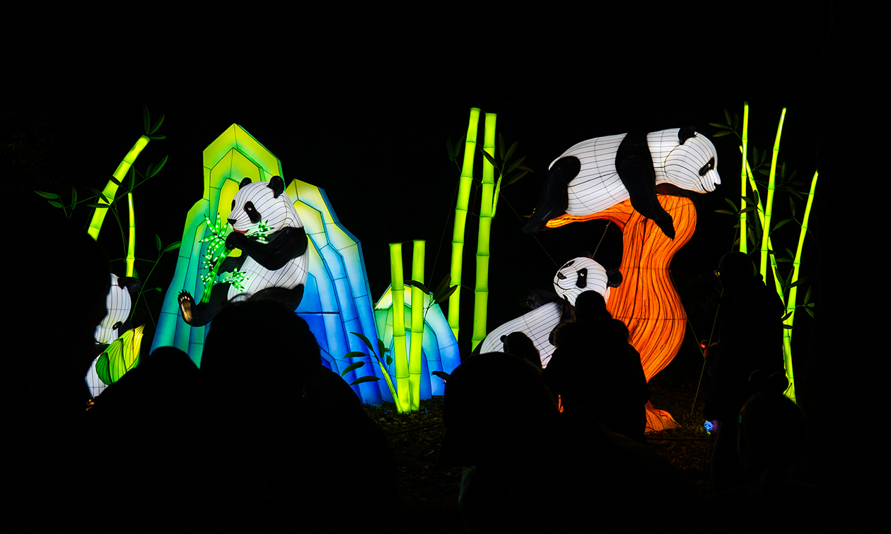 Ouwehands Dierenpark Rhenen