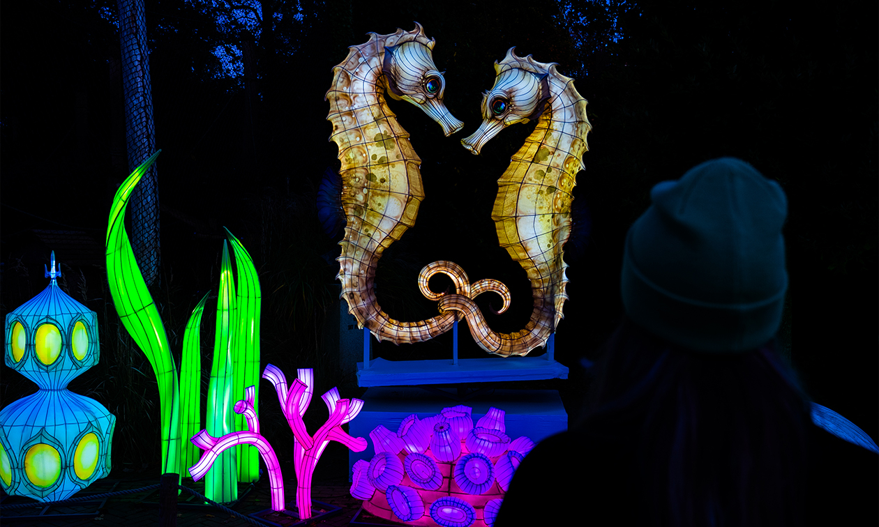 Ouwehands Dierenpark Rhenen