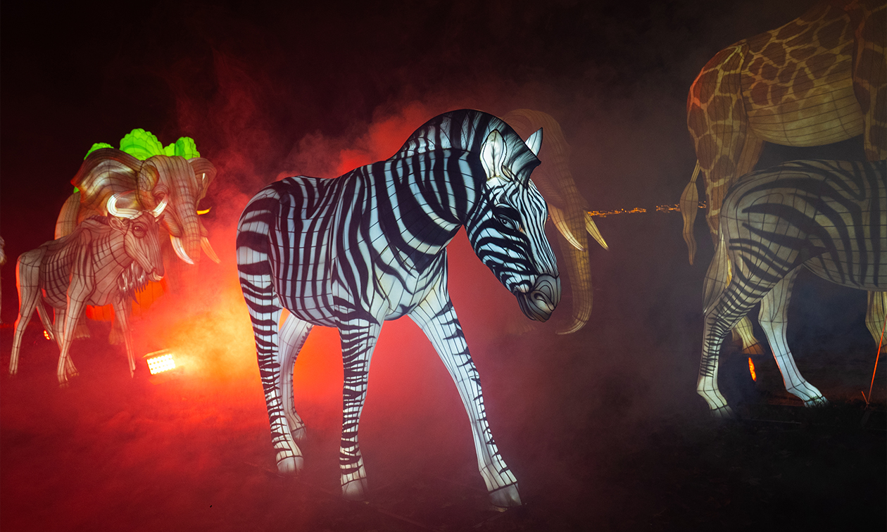 Ouwehands Dierenpark Rhenen