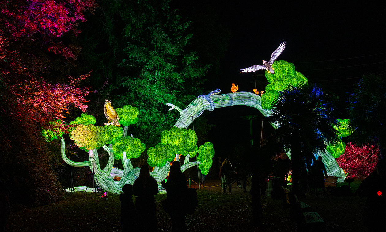 Ouwehands Dierenpark Rhenen