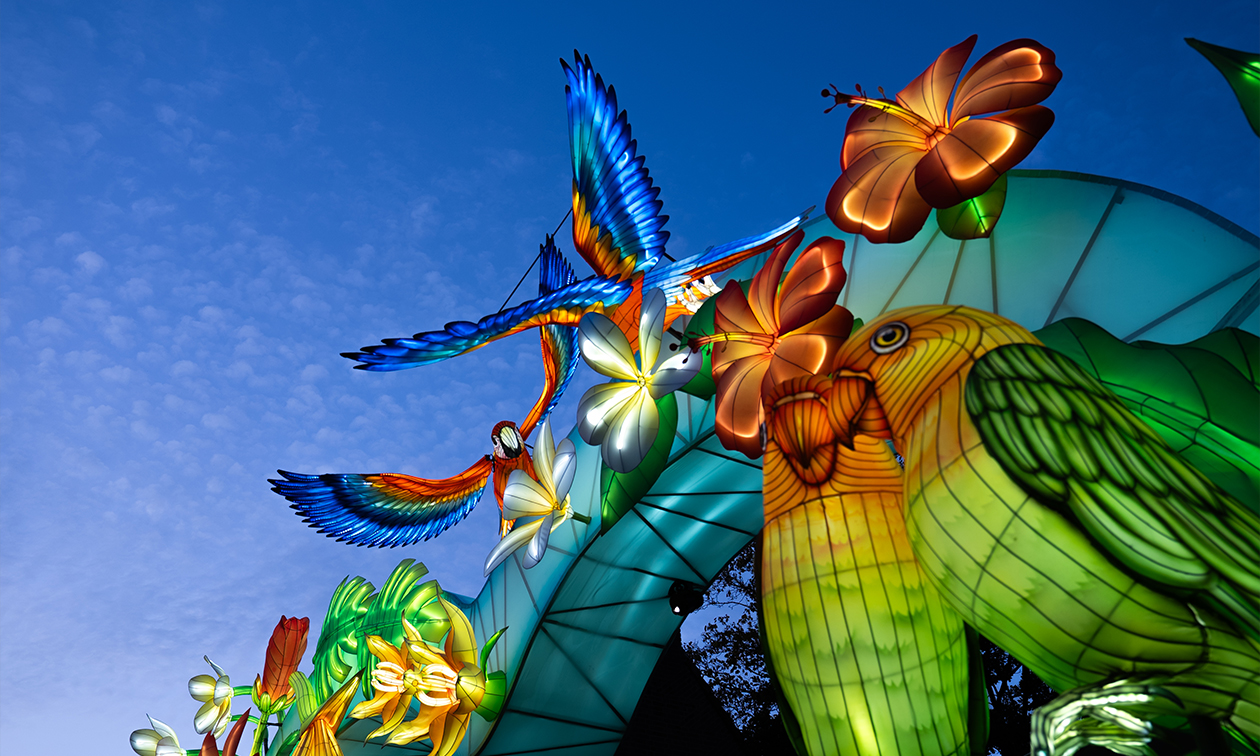 Ouwehands Dierenpark Rhenen