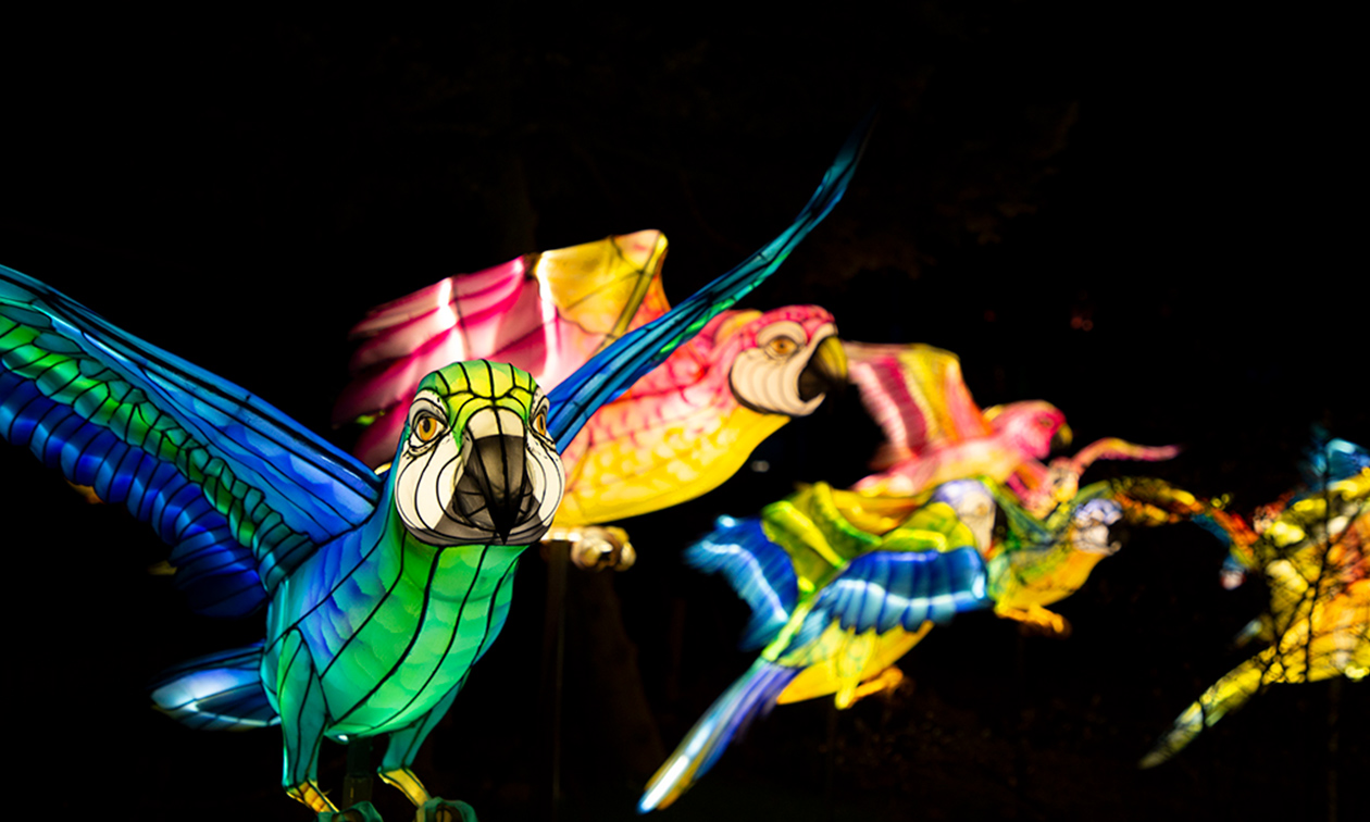 Ouwehands Dierenpark Rhenen