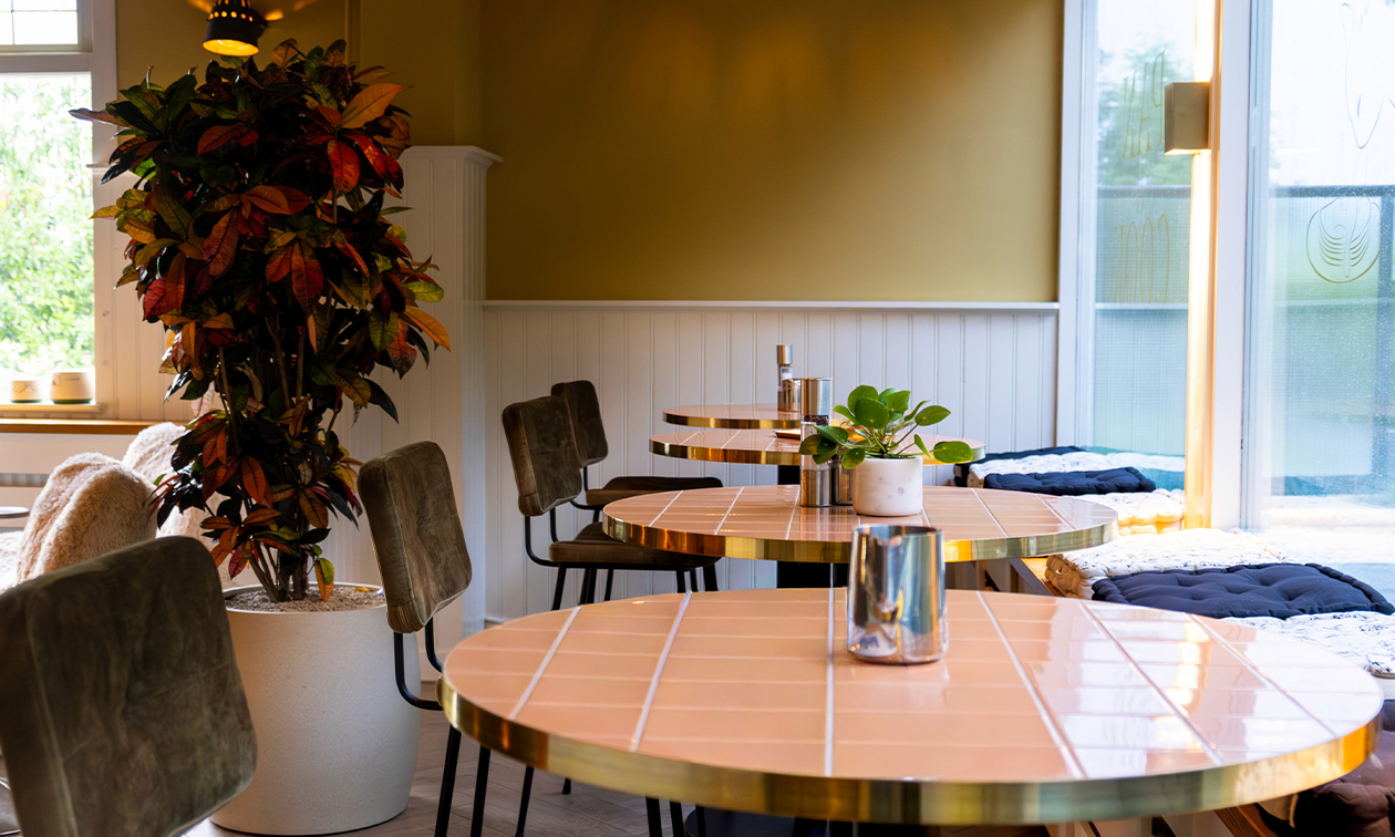 Pan & Cook Prinsenbeek
