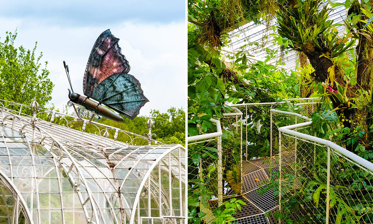 Plantentuin Meise