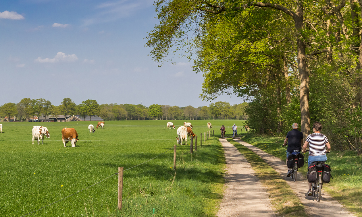 Resort Bad Boekelo