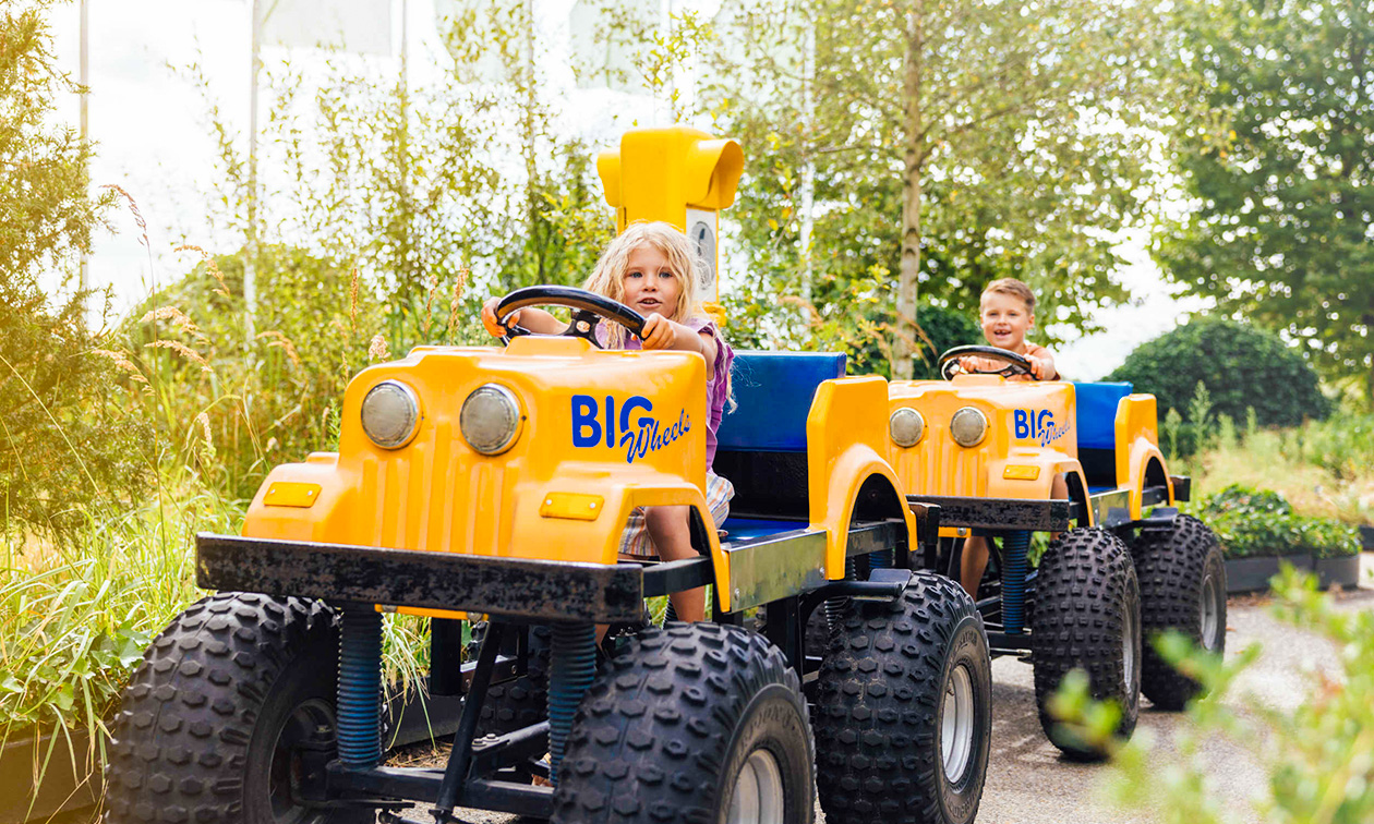 Safaripark + Speelland Beekse Bergen