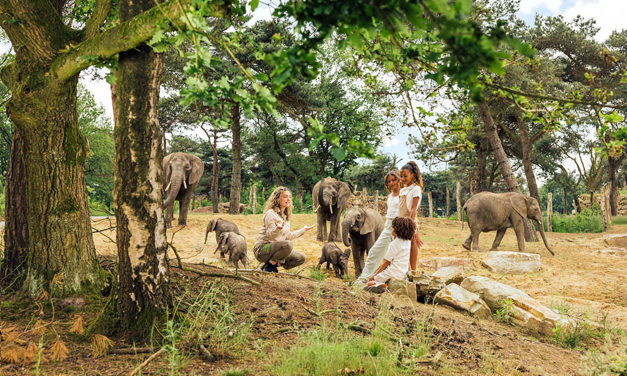 Safaripark + Speelland Beekse Bergen