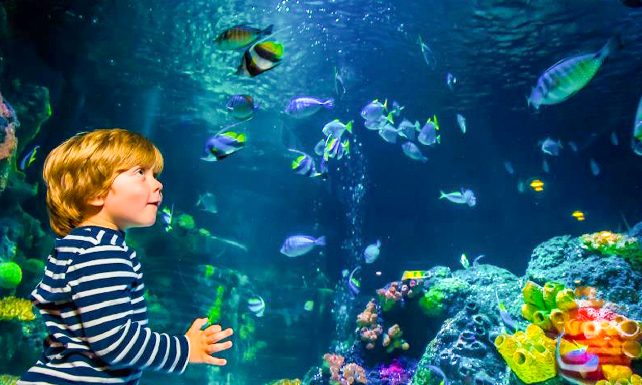 SEA LIFE Oberhausen