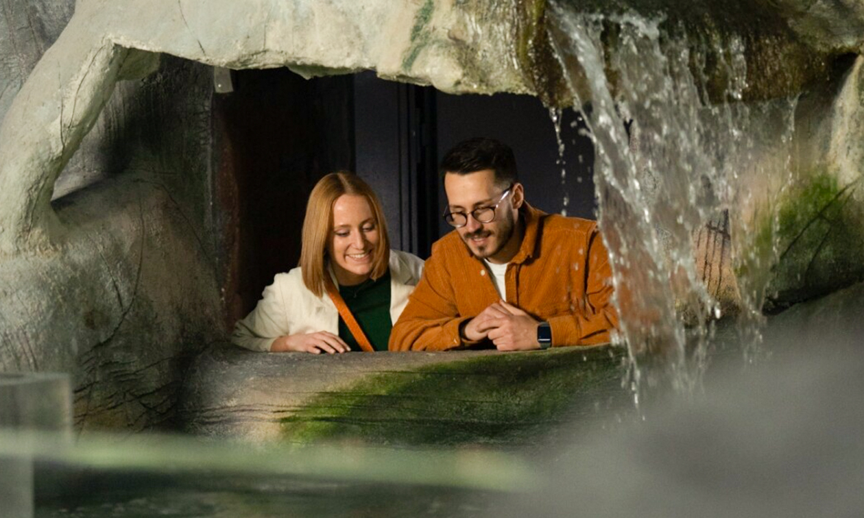 SEA LIFE Oberhausen