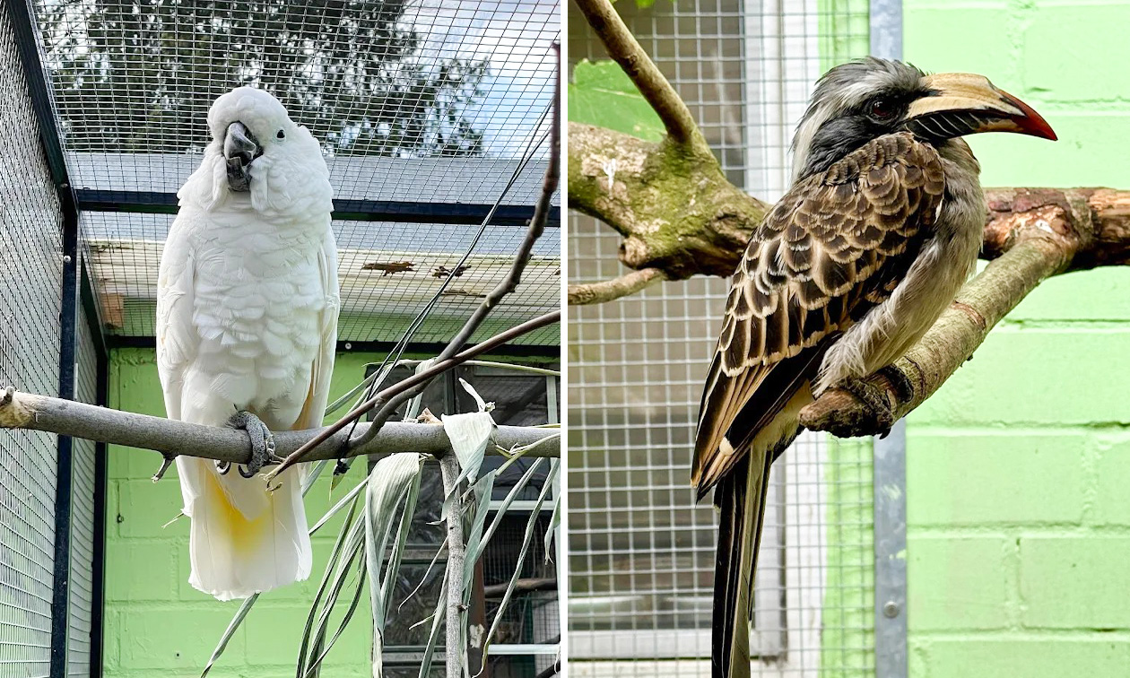 Solinger Vogel- und Tierpark