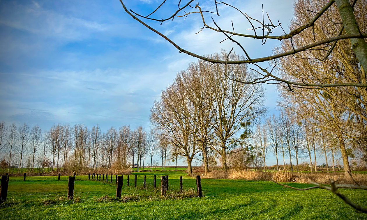 't Rood Kasteel