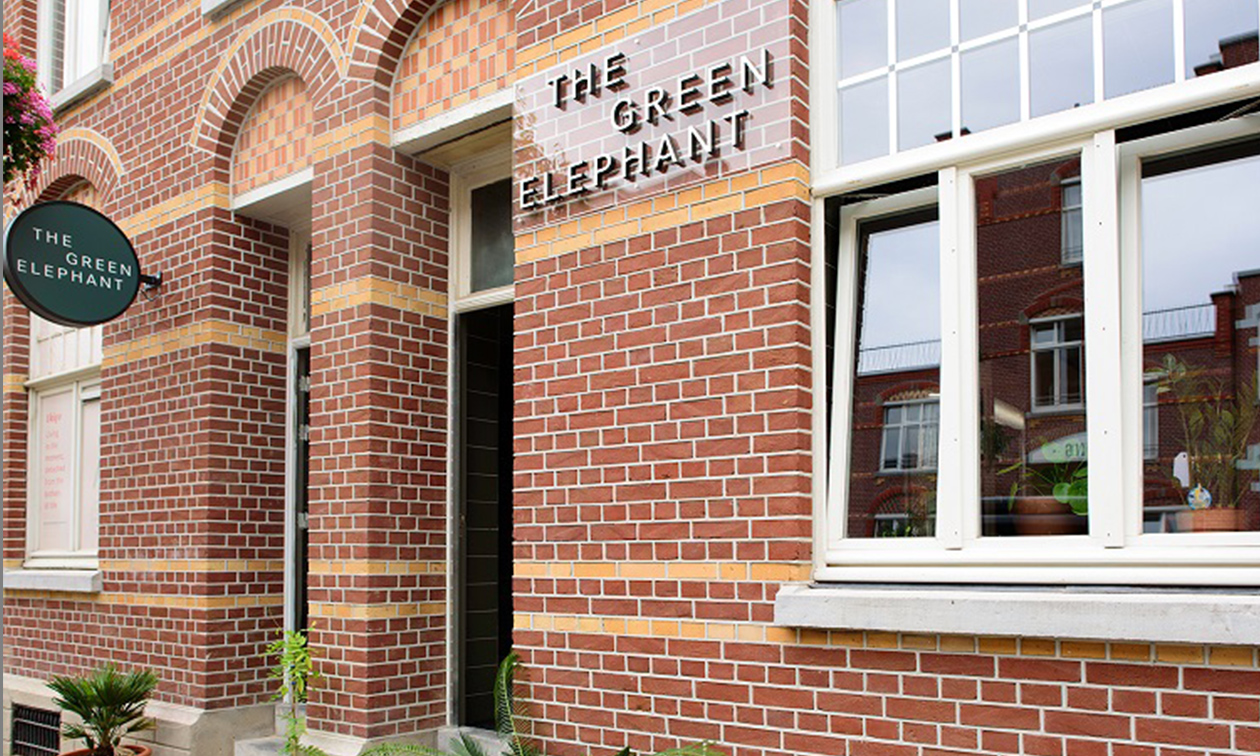 The Green Elephant Hostel & Spa