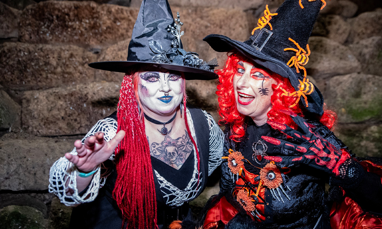 Twilight Fantasy Productions