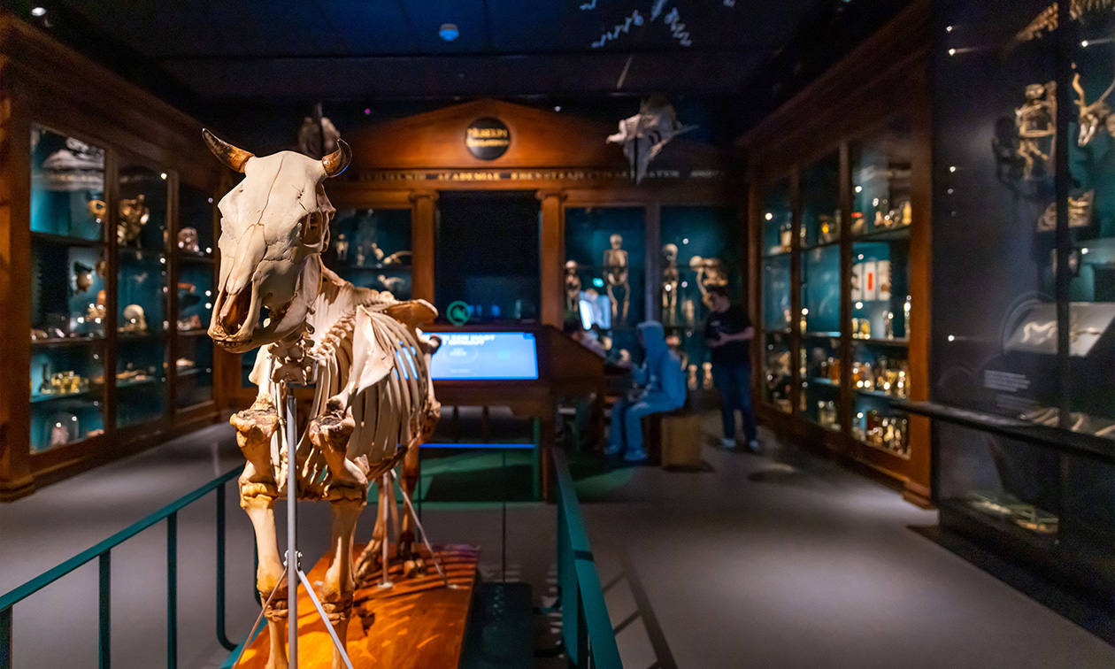 UMU - Universiteitsmuseum Utrecht