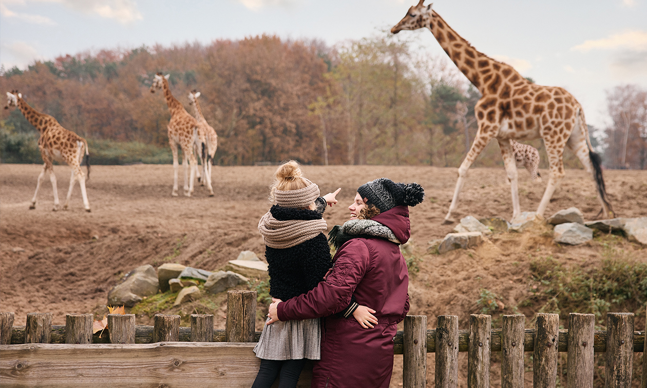 Vakantiepark Dierenbos