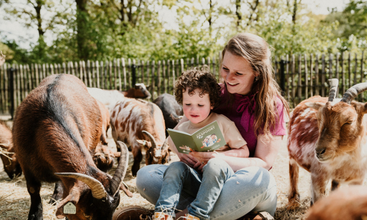 Vakantiepark Dierenbos