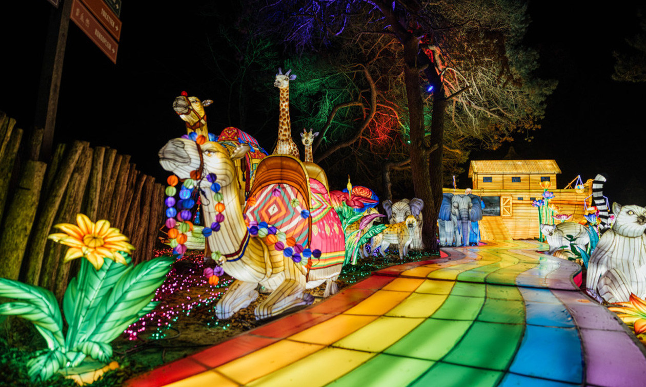 Vakantiepark Dierenbos